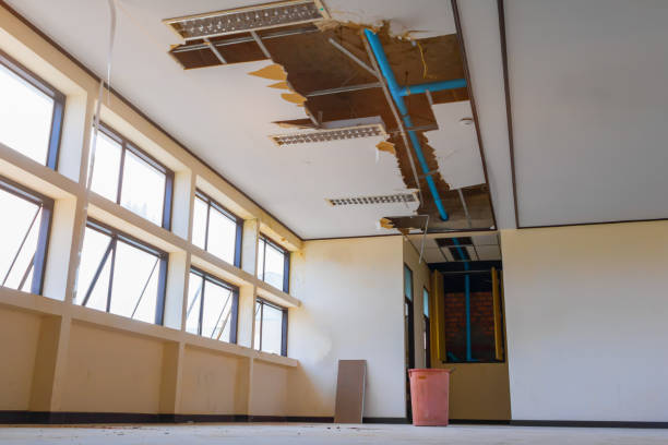 Best Basement water damage restoration  in Hebron, PA