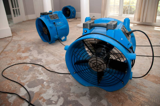Best Flooded house restoration  in Hebron, PA