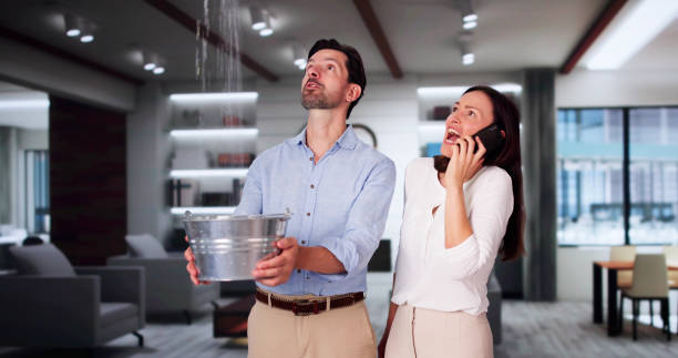 Best Water damage contractors near me  in Hebron, PA