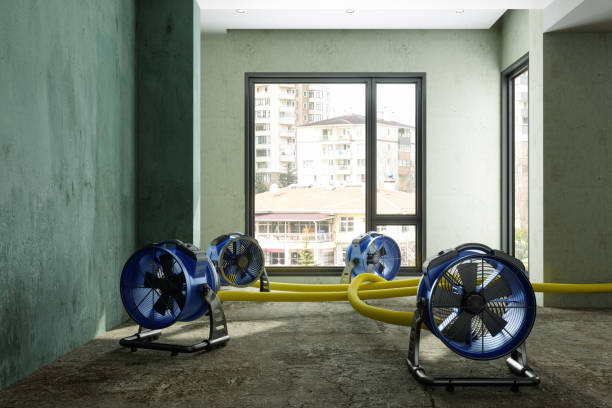Best Local water damage restoration  in Hebron, PA
